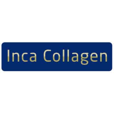 logo-inca